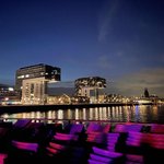 Bild des Benutzers Salau