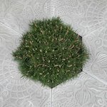 Bild des Benutzers Kema