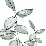 Bild des Benutzers Lorliving