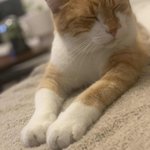 Bild des Benutzers Biancarab