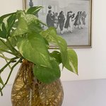 Bild des Benutzers drow