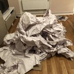 Bild des Benutzers seaufdemweg