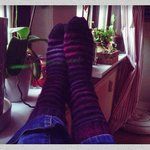 Bild des Benutzers Saalemädchen