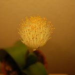 Bild des Benutzers choia