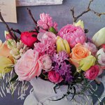 Bild des Benutzers Moneypenny