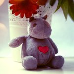 Bild des Benutzers SternStück