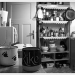 Bild des Benutzers RikeB