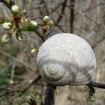 Bild des Benutzers Patchytanja