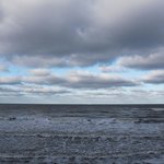 Bild des Benutzers verzaubert