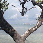 Bild des Benutzers Nicol