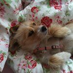 Bild des Benutzers marinastettinger