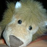 Bild des Benutzers nicnac_bln