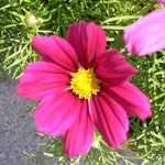 Bild des Benutzers kielstern