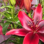 Bild des Benutzers FREAKZ