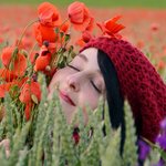 Bild des Benutzers Elife