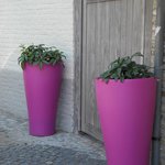 Bild des Benutzers alexandra7119