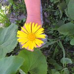 Bild des Benutzers ulisl