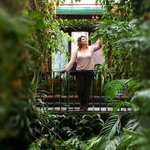 Bild des Benutzers Elyskia