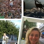 Bild des Benutzers Little-Pixel