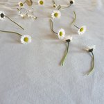 Bild des Benutzers Frenzi1404