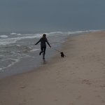 Bild des Benutzers Hortensienliebe