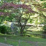 Bild des Benutzers Susanka Poljakoff Uchatka