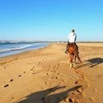 Bild des Benutzers Kathrin Otto