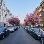 Bild des Benutzers frl.mai