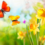 Bild des Benutzers saphira_75