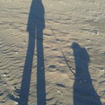 Bild des Benutzers Magelle