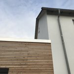 Bild des Benutzers Rizi