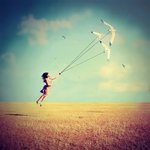 Bild des Benutzers nwienicole