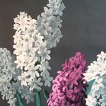 Bild des Benutzers Hyazinthenlady