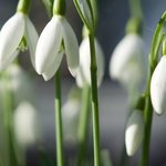 Bild des Benutzers lenara28