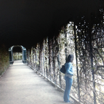 Bild des Benutzers Wollmaushaus