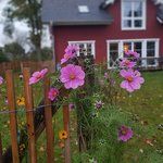 Bild des Benutzers imaginebullerbu