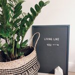 Bild des Benutzers Livinglikeyou