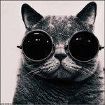 Bild des Benutzers lulu_89