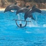 Bild des Benutzers Heinz Kunze