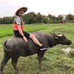 Bild des Benutzers Florian Schlosser