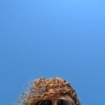 Bild des Benutzers Regina Welker