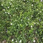 Bild des Benutzers Tina Weisser