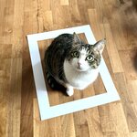 Bild des Benutzers Mias Wohnzimmer