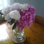 Bild des Benutzers tinari