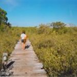 Bild des Benutzers Eni13