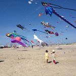 Bild des Benutzers Blickfang