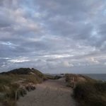 Bild des Benutzers Wendy Zimmermann