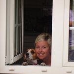 Bild des Benutzers Brini