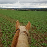 Bild des Benutzers annamaria28401