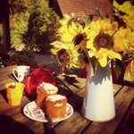 Bild des Benutzers antjee